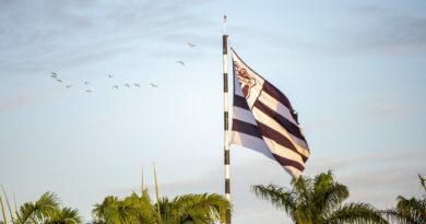 Bandeira do Ceará