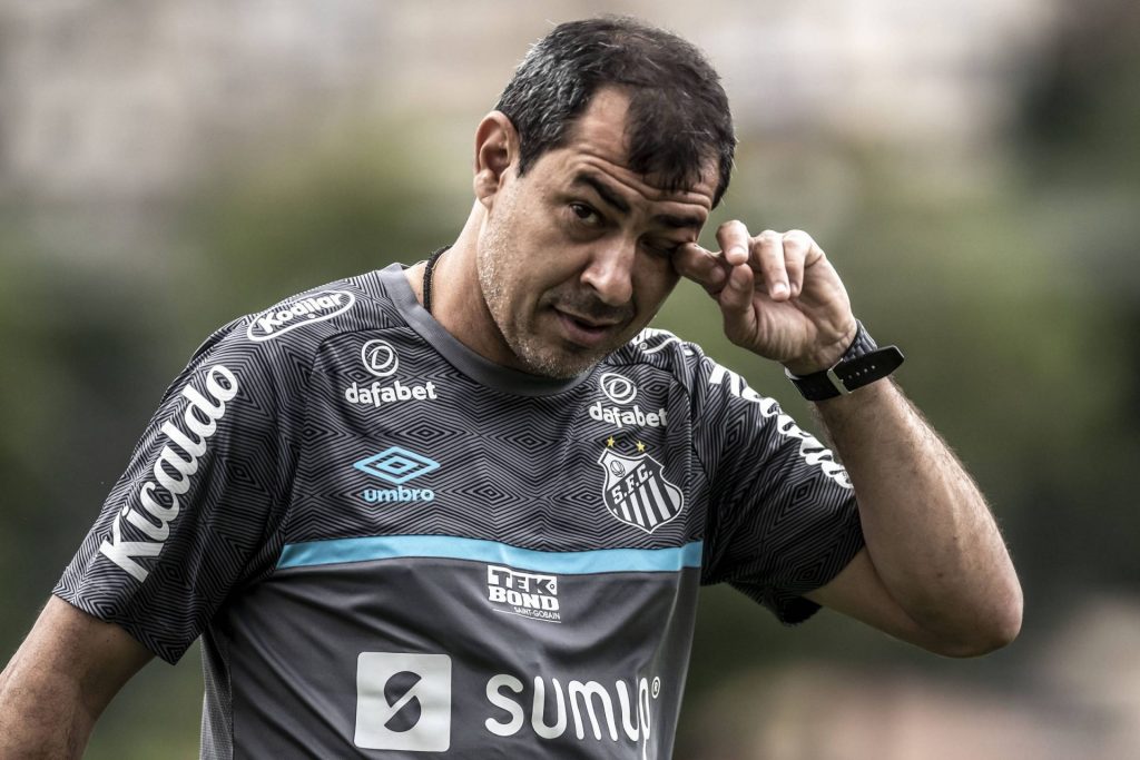 Fábio Carille, Santos FC