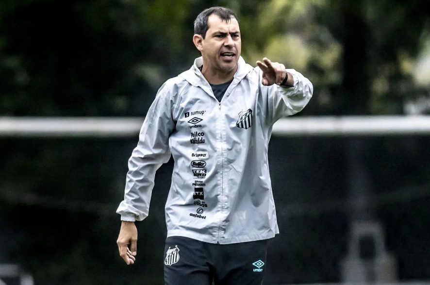 Fábio Carille, Santos FC, Série B