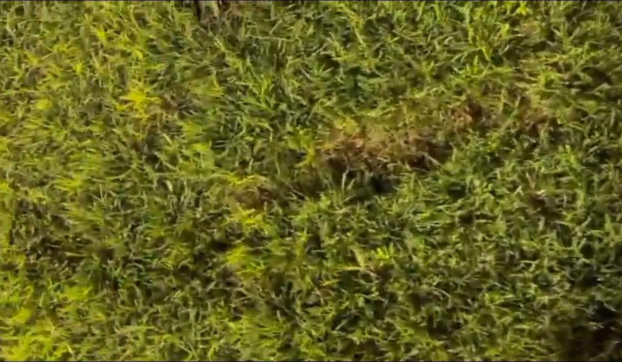 estádio Adauto Moraes / Copa do Nordeste