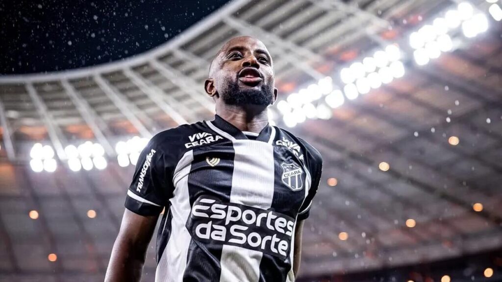 image para ilustrar o artigo